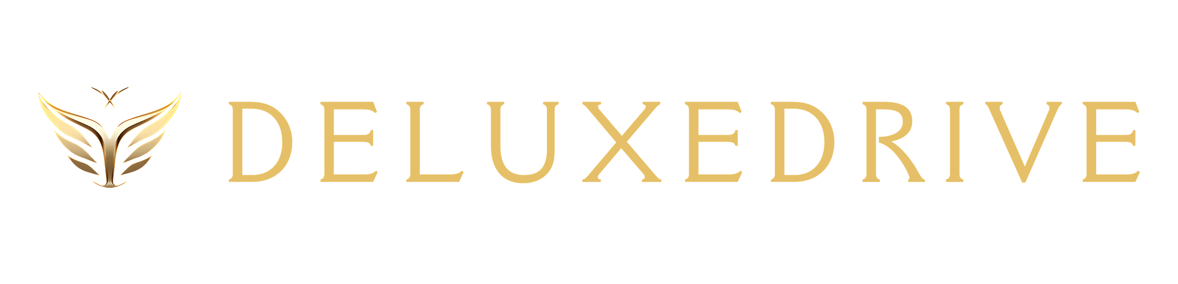 DeluxeDrive